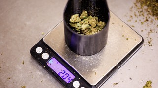 Ein Becher mit Cannabisblüten steht auf einer Feinwaage