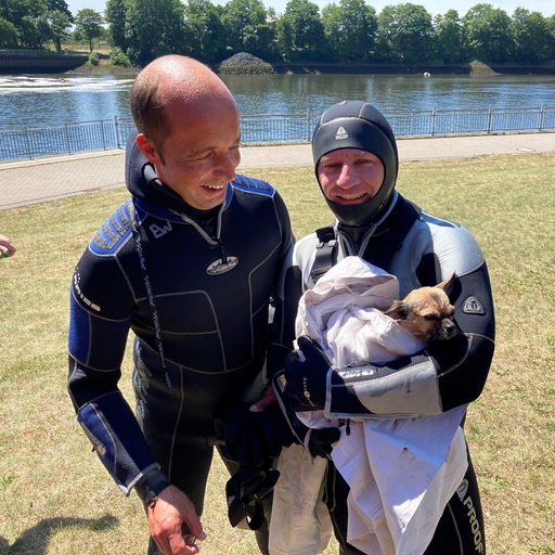 Feuerwehrtaucher retten einen kleinen Hund aus der Weser.