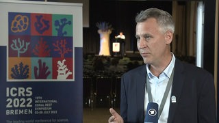 Der Meeresbiologe der Universität Bremen Christian Wild im Interview bei der Weltkorallenriffkonferenz. 