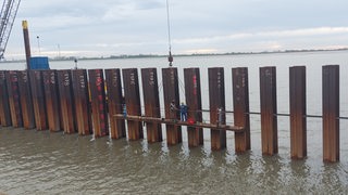 Blick auf braune Poller, die im Wasser stehen.