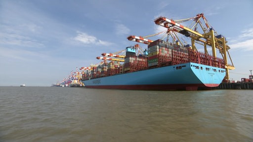 Ein riesiges Containerschiff liegt an einer Kaje. Mehrere Kräne und weitere Schiffe sind im Hintergrund.