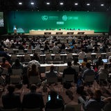Die Teilnehmer der Weltklimakonferenz blicken sitzend auf die Bühne, während Sultan al-Dschaber, Präsident der COP 28, eine Sitzung leitet.