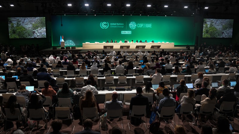 Die Teilnehmer der Weltklimakonferenz blicken sitzend auf die Bühne, während Sultan al-Dschaber, Präsident der COP 28, eine Sitzung leitet.