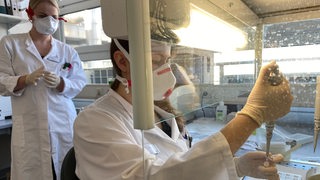 Mitarbeiterinnen in einem Labor untersuchen Proben.