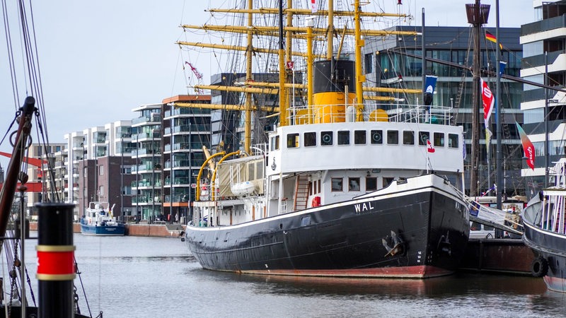 Ein Dampfschiff liegt in einem Hafenbecken vor anderen Schiffen und Gebäuden.