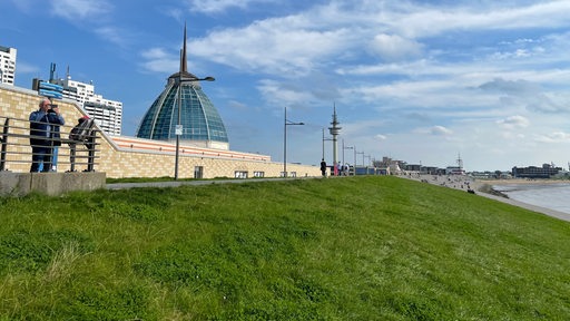 Blick auf den Deich in Bremerhaven. Im Hintergrund sind Gebäude zu erkennen.