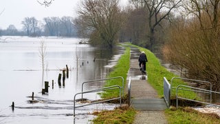 Ein Radfahrer fährt über den schon zum Teil überschwemmten Deich an der Wümme im Bremer Ortsteil Borgfeld im Februar 2024. 