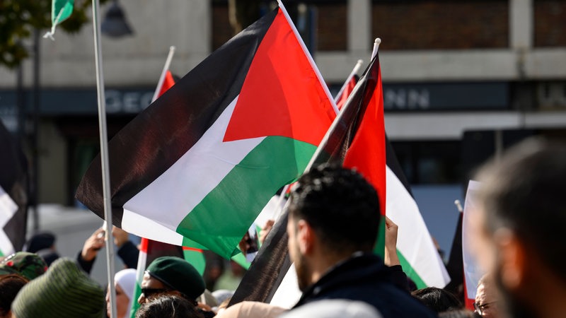 Teilnehmer einer pro-palästinensischen Demonstration protestieren für Solidarität mit Gaza.