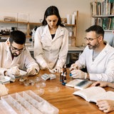 Laborteam von jungen Forschenden der Biowissenschaften im Laborraum.