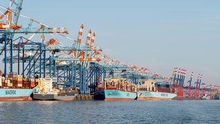 Schiffe der Maersk-Reederei vor der Stromkaje in Bremerhaven.