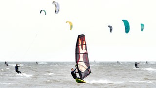 Ein Windsurfer und mehrere Kite-Surfer sind auf dem Wasser unterwegs.