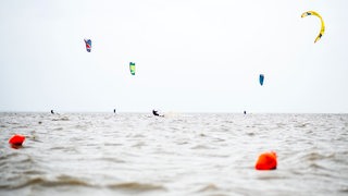 Mehrere Kite-Surfer sind bei trübem Wetter auf der Nordsee unterwegs.