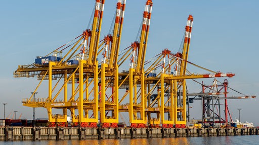 Riesenkräne des Eurogate Container Terminals in Bremerhaven