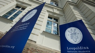 Das Logo und der Schriftzug der Nationalen Akademie der Wissenschaften Leopoldina.