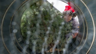 Ein Mann schiebt seinen Weihnachtsbaum in eine Vorrichtung zum Einnetzen