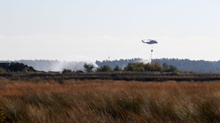 Ein Transporthubschrauber CH-53 der Bundeswehr gibt beim Moorbrand auf dem Gelände der Wehrtechnischen Dienststelle 91 (WTD 91) in Meppen Wasser ab.