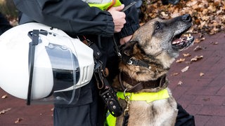 Ein Polizeihund bellt in Richtung einer Demonstrantion