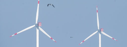 Zwei Windräder stehen im Meer, davor fliegen Möwen.