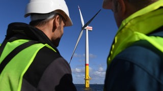 Zwei Bauarbeiter mit Warnweste und Helm blicken auf eine Windkraftanlage im Meer.