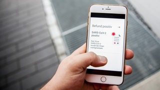 Eine Person hält ein Handy in der Hand, auf dem Handydisplay ist eine Mitteilung, Befund positiv, SARS-CoV-2