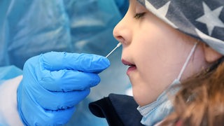 Eine Hand führt bei einem Kind ein Teststäbchen in die Nase ein.