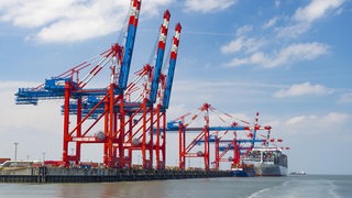 Ein Containerschiff liegt neben Kränen.