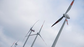 Mehrere Windräder des Herstellers Enercon