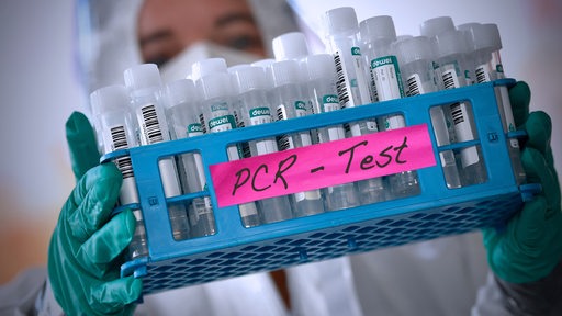 Jemand hält eine Reihe PCR-Tests in einem Labor hoch