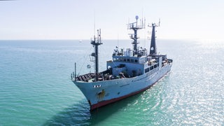 Sea-Shepherd Schiff während der Operation "Delphin" im Golf von Gascogne