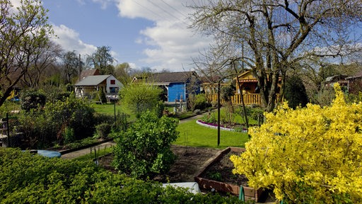 Blick auf eine Kleingartenanlage im Frühling in Bremen