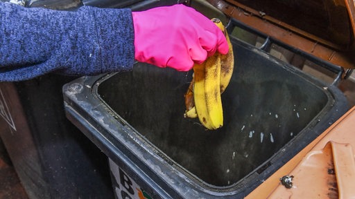 Eine Bananenschale wird in einen Mülleimer geworfen