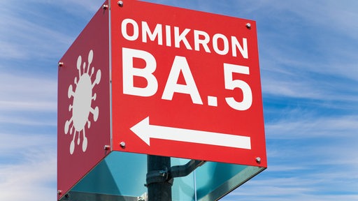 Ein rotes Schild in Würfelform mit einem Pfeil nach links und der Aufschrift "Omikron BA.5" sowie ein Piktogramm eines Corona-Virus vor einem neutralen, blauen Himmel mit Schleierwolken.