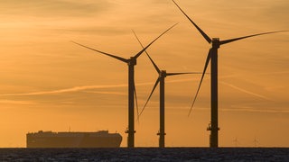 Die Windkrafträder des Offshore-Windparks _Nordergründe_ vor dem Sielhafen von Dorum. Ein aus Bremerhaven kommendes Auto-Transportschiff passiert die Anlage. 