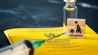 Impfpass der WHO Weltgesundheitsorganisation eine Spritze und einem Holzwürfel mit Aufschrift IMVANEX, Pocken Impfstoff, Imvanex als Impfung für das Affenpocken