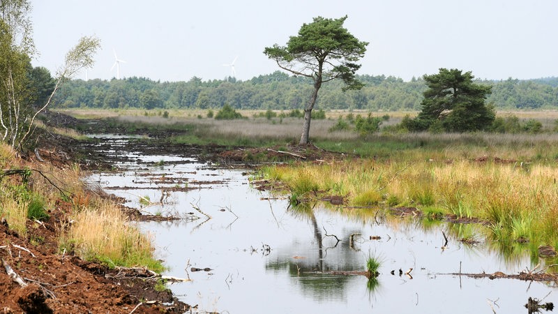 Eine der Torfabbaukanten mit Blick auf ein bereits wiedervernässtes Gebiet des Teufelsmoors bei Worpswede.
