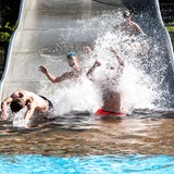 Schüler rutschen in ein Schwimmbecken.