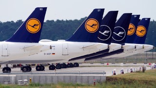 Flieger der Lufthansa stehen auf dem Rollfeld.