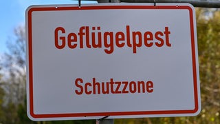 Ein Schild mit der Aufschrift "Geflügelpest Schutzzone".