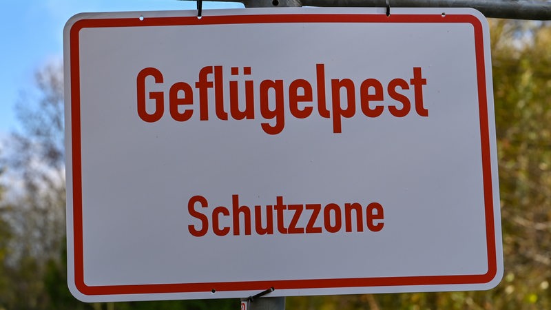 Ein Schild mit der Aufschrift "Geflügelpest Schutzzone".