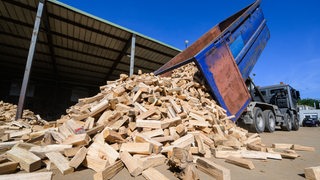 Ein Lkw kippt kammergetrocknetes Brennholz auf einen Betriebshof.