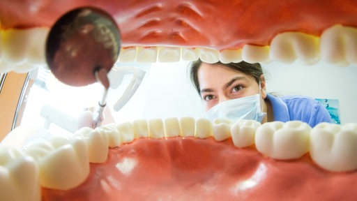 Eine Zahnarzthelferin posiert in einer Zahnarztpraxis hinter einem künstlichen, überdimensioniertem Gebiss