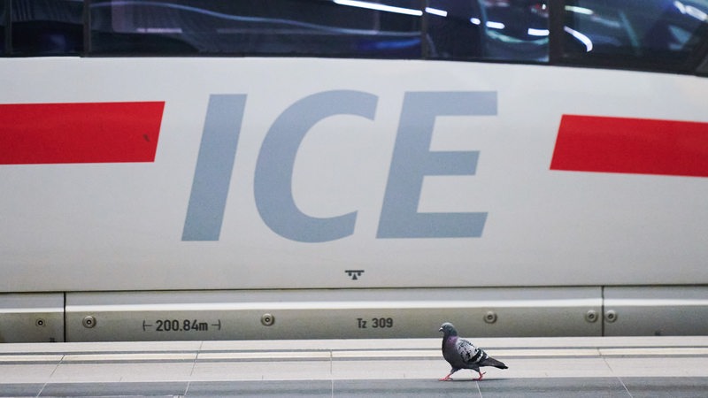 Ein ICE steht am Bahngleis.