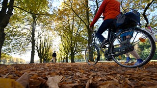 Eine Fahrradfahrerin fährt über Laub in einem Park.