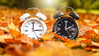 Zwei Uhren auf Herbstblättern.