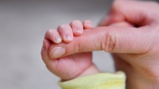 Die Hand von einem Baby mit der Hand eines Erwachsenen