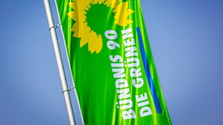Auf einer Fahne ist das Logo der Grünen.