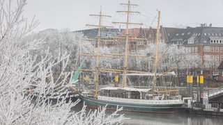 Die Bäume an der Weser und das Restaurant-Segelschiff Alexander von Humboldt auf der Weser, sind nach frostiger Nacht mit Raureif überzogen