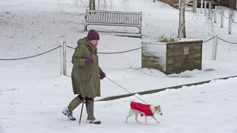 Frau mit Hund im Mantel im Winter