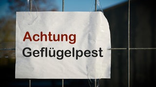 Schild am Eingang eines Bauernhofes in Deutschland mit der Aufschrift Achtung Geflügelpest
