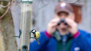 Ein Mann beobachtet mit einem Fernglas eine Meise an einer Futterstelle. 